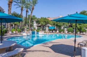 Modern Retreat in Ahwatukee Heated Pool Spa Gym